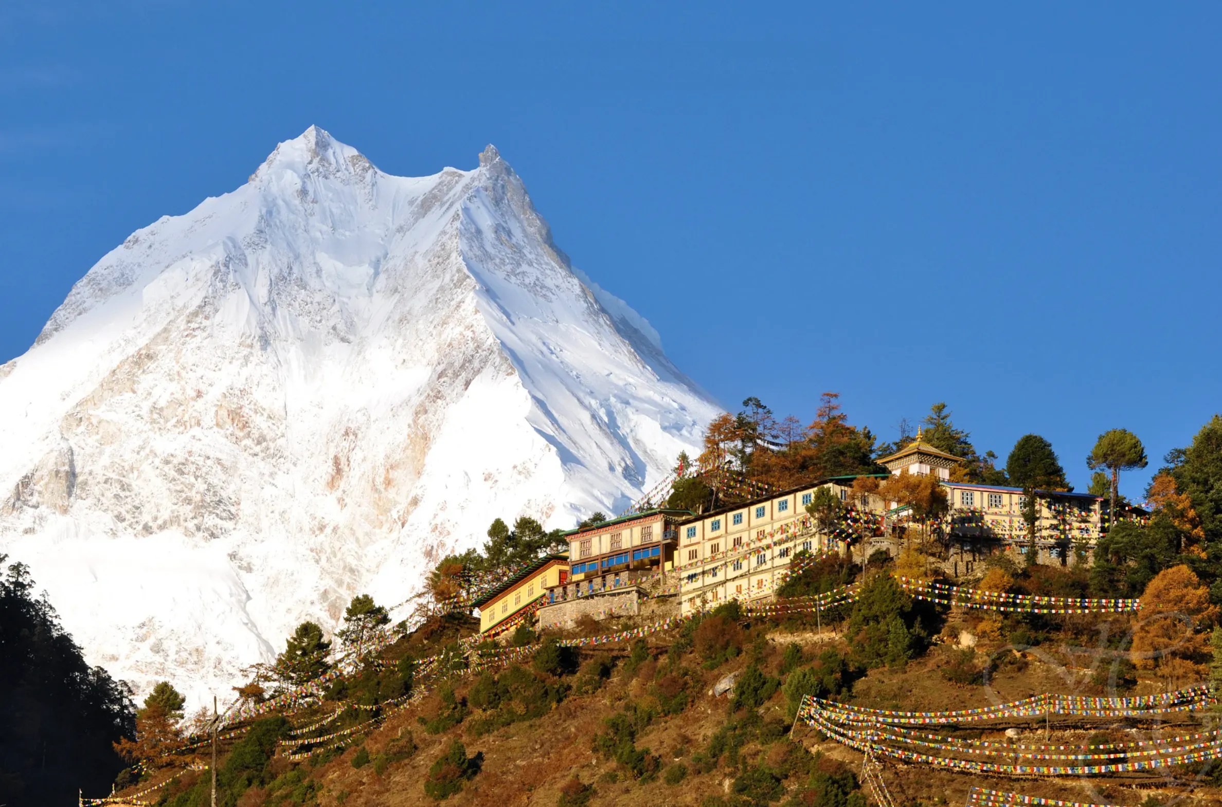 manaslu mountain seen from Loh
